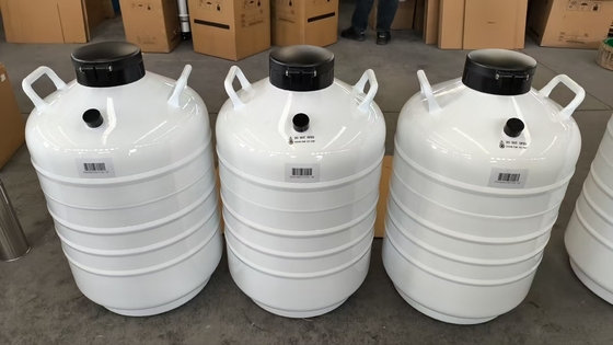 품질  Biological Sample Dry Shipper – Leak-Free Liquid Nitrogen Container 공장