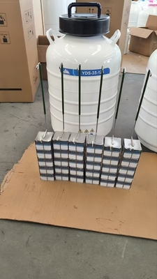 품질  Portable Liquid Nitrogen Dry Shipper – Safe Transport of Cells and Tissues 공장