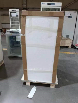 스테인리스 스틸 수동 해빙형 저장용 극저온 냉장고